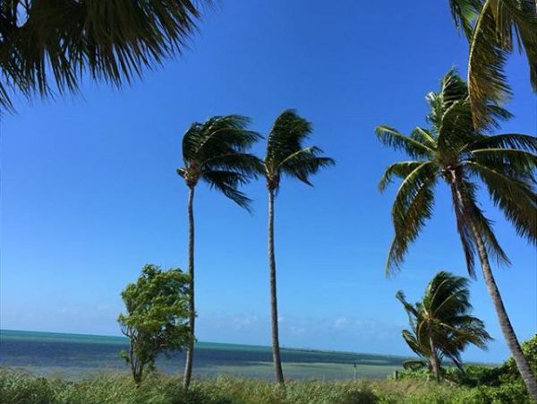 The Florida Keys Condo 966082