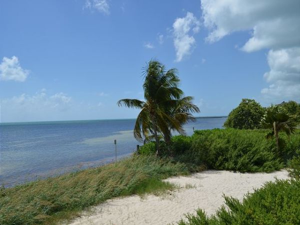 The Florida Keys Condo 966087