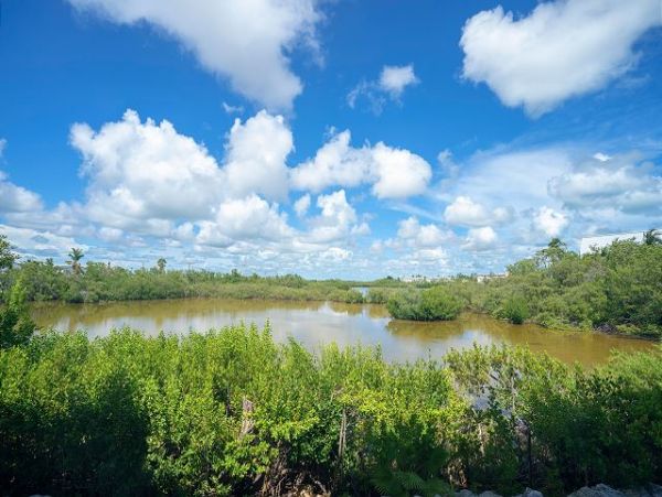 The Florida Keys Condo 966090