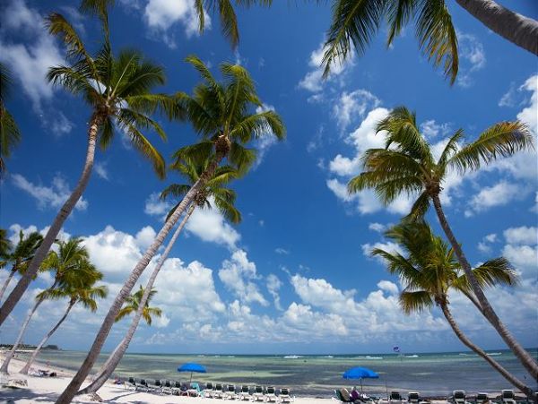 The Florida Keys Condo 966090