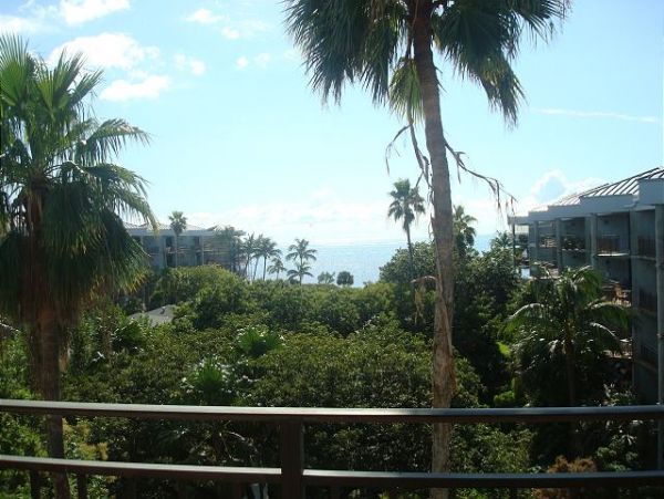 The Florida Keys Condo 966100