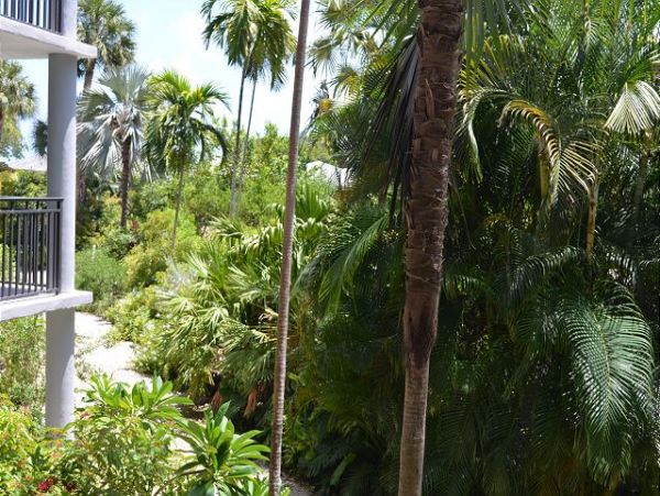 The Florida Keys Condo 966101