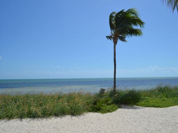 The Florida Keys Condo 966102