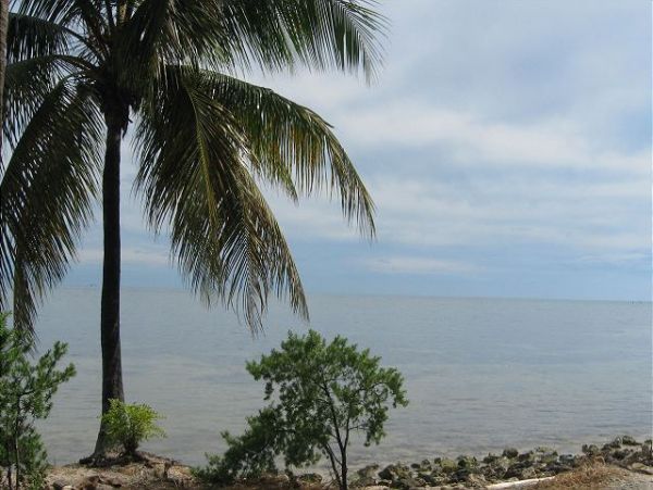 The Florida Keys Condo 966102