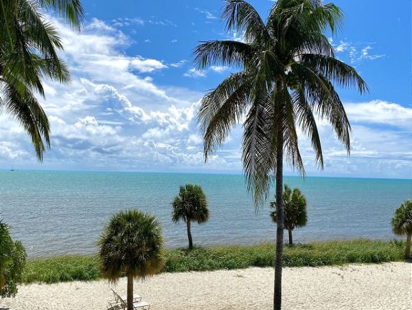 The Florida Keys Condo 966109