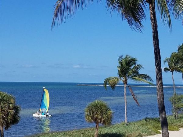 The Florida Keys Condo 966109