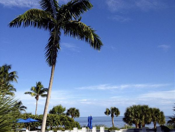 The Florida Keys Condo 966117