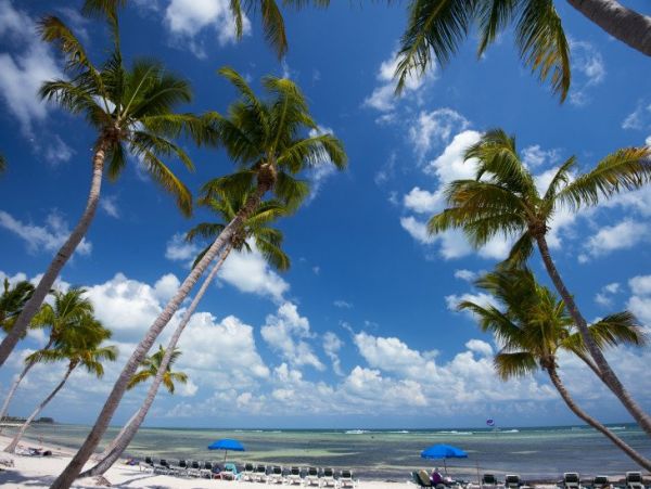 Florida Keys 3 Bedroom Condo with Spectacular Ocean Views