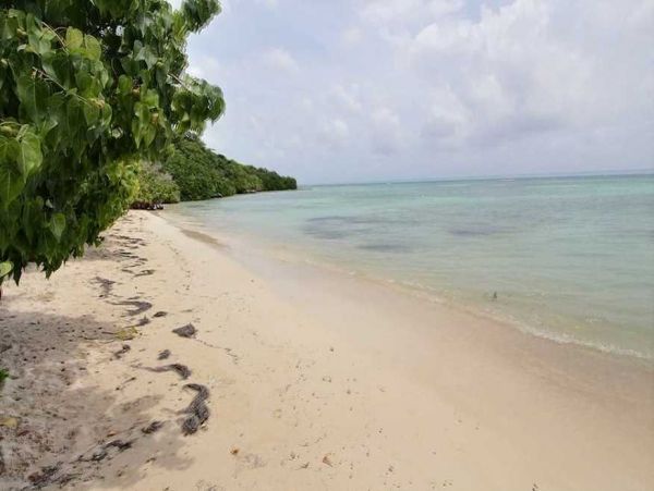 Guadeloupe Home 966147
