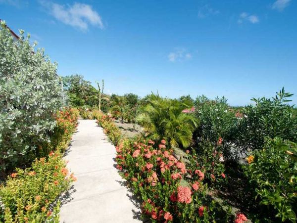 Guadeloupe Home 966148