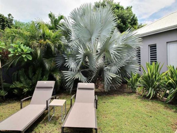 Guadeloupe Home 966152