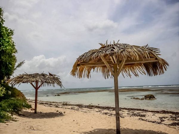 Guadeloupe Home 966160