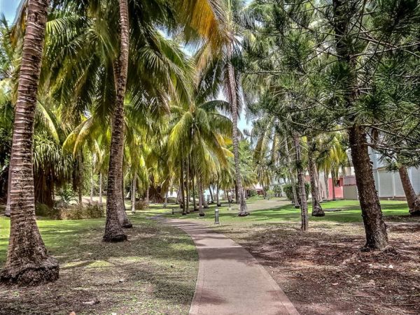 Guadeloupe Home 966160