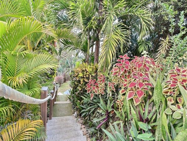 Guadeloupe Condo 966166
