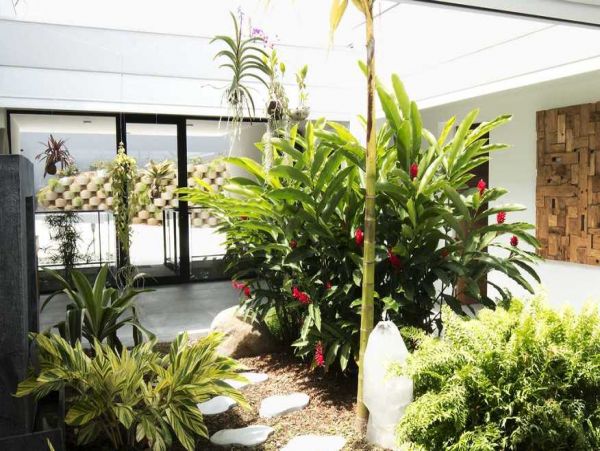 Guadeloupe Home 966170