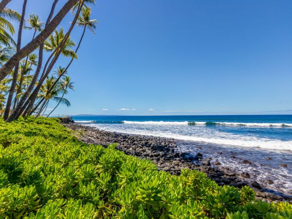 Lahaina Home 966177