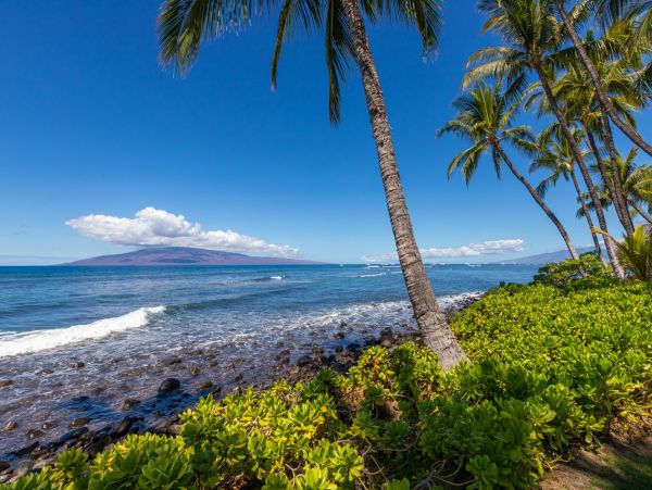 Lahaina Home 966177