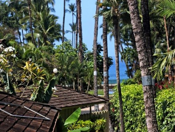 Lahaina Condo 966178