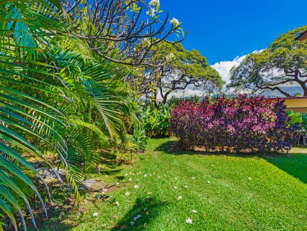 Lahaina Condo 966181