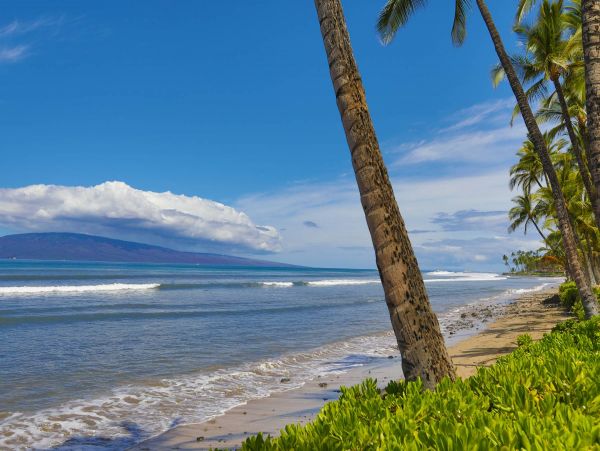 Beautiful 2 Bedroom Vacation Rental Full Ocean View