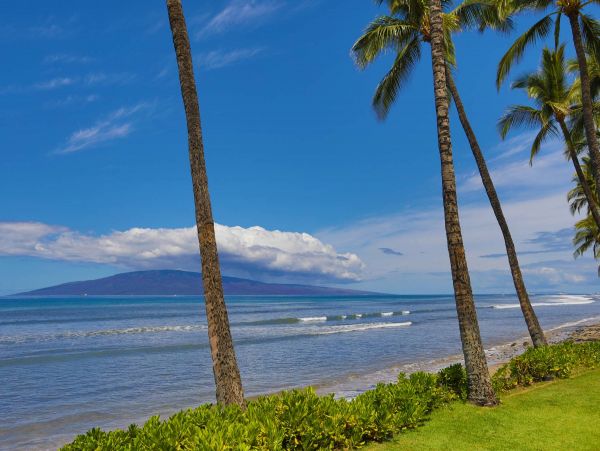 Beautiful 2 Bedroom Vacation Rental Full Ocean View