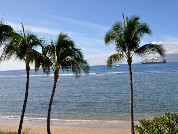 Lahaina Condo 966187