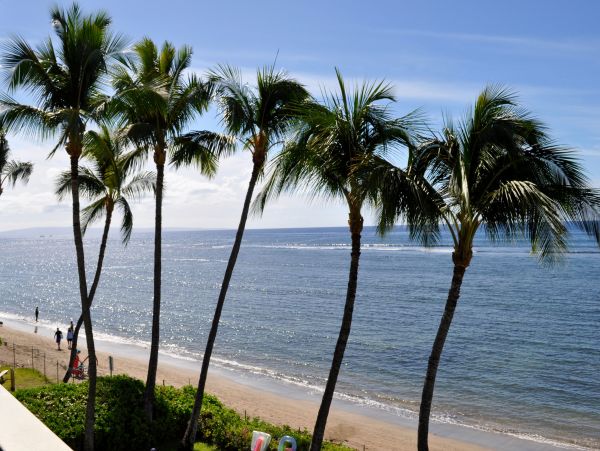 Lahaina Condo 966187