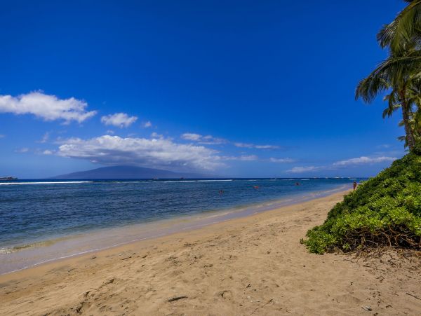 Lahaina Condo 966188