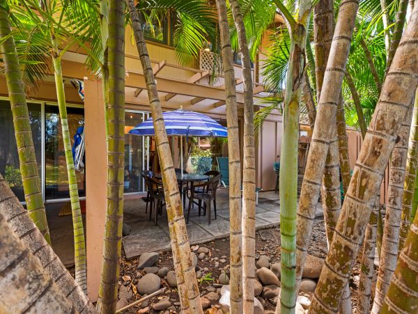 Lahaina Condo 966189