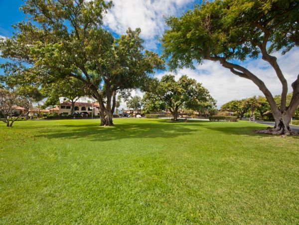 Lahaina Condo 966189