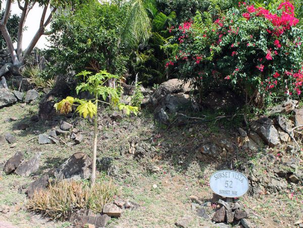 St. John Home 966200