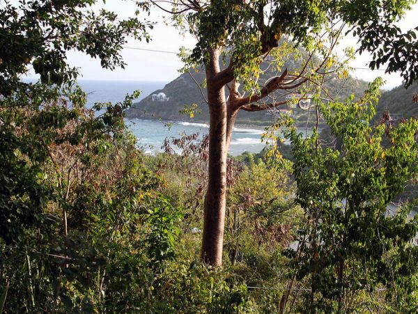 St. John Home 966208
