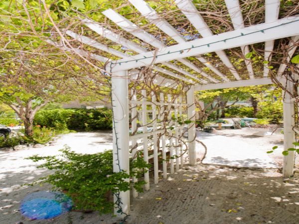 Cayman Islands Condo 966213
