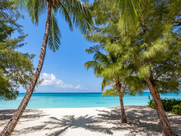 Cayman Islands Condo 966214