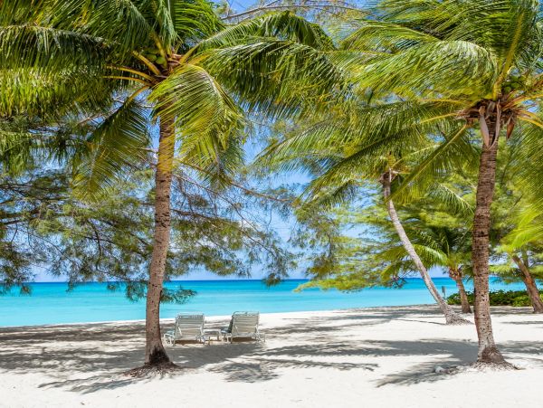 Cayman Islands Condo 966214