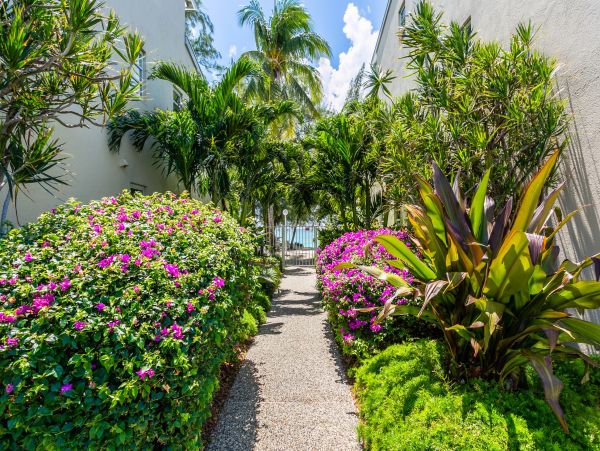 Cayman Islands Condo 966214