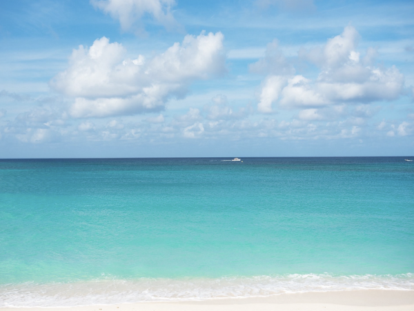 Cozy Ground Flor with 2 Bedrooms in Cayman Islands