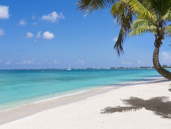 On Beach Cayman Island Vacation Condo Two Bedroom