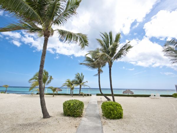 Beachfront One Bedroom Cottage in Cayman Islands