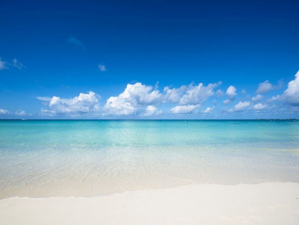 Cayman Islands Condo 966234