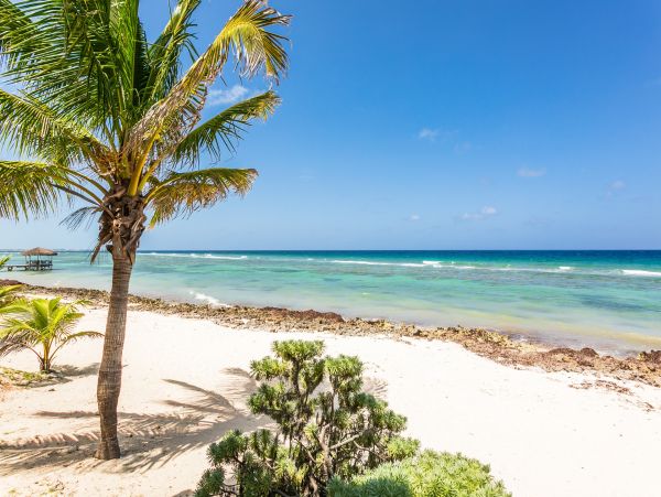 Cayman Islands Seaside Serenity: Your Private Oceanfront Oasis