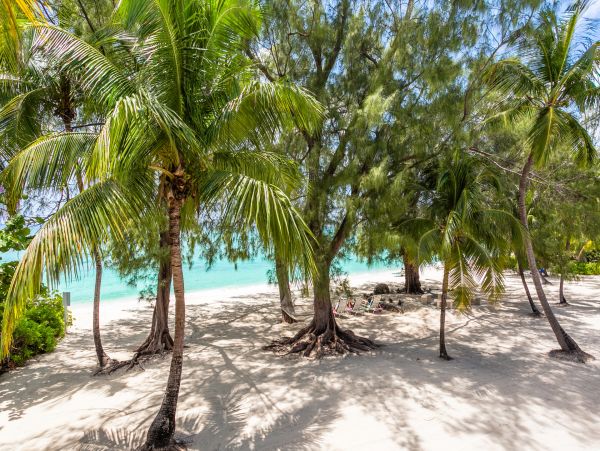Cayman Islands Condo 966240