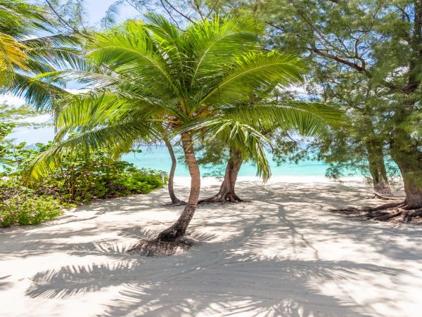 Cayman Islands Condo 966240