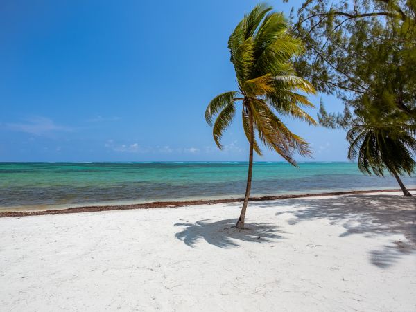 180ft of Private Beach at This Grand Cayman Private Villa