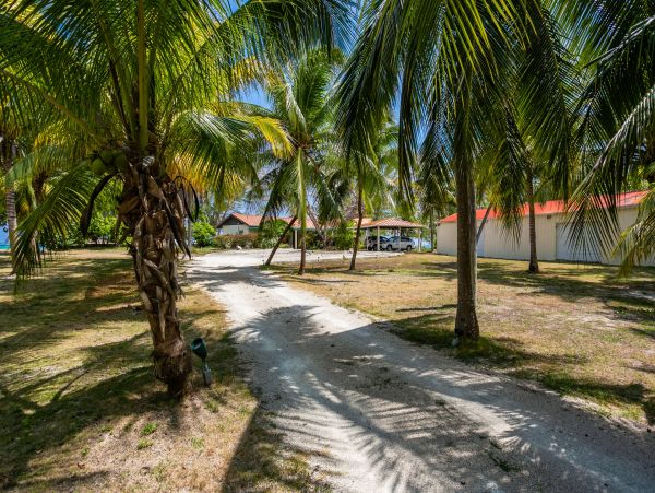 180ft of Private Beach at This Grand Cayman Private Villa