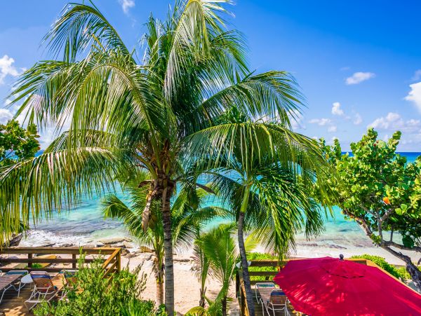 Cayman Islands Condo 966243