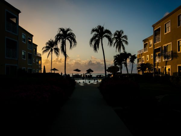 Cayman Islands Condo 966245