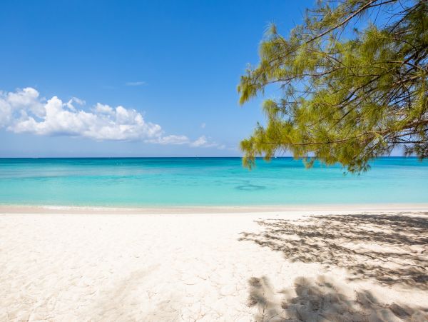 Cayman Islands Condo 966252