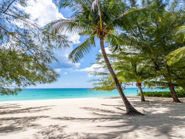 Cayman Islands Condo 966252