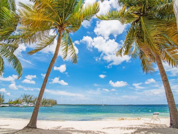 Cayman Islands Condo 966256